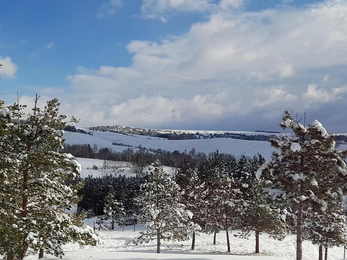 Ruza Vetrova Villa Divcibare Luaran gambar